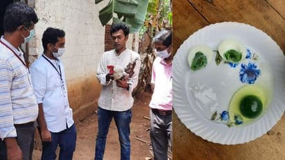കോഴി മുട്ടക്കുള്ളിലെ പച്ചക്കരു; ശിഹാബിന്റെ കോഴികളെ തേടി വിദഗ്ധ സംഘവും എത്തി