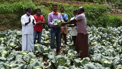 രണ്ട് ടണ്‍ പച്ചക്കറി മുഖ്യമന്ത്രിയുടെ ദുരിതാശ്വാസനിധിയിലേക്ക്; മാതൃകയായി ഇടുക്കിയിലെ കര്‍ഷകര്‍
