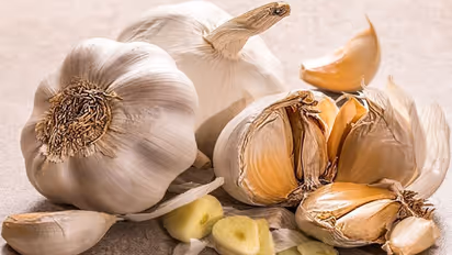 ആവശ്യത്തിനുള്ള വെളുത്തുള്ളി ഇനി വീട്ടിൽത്തന്നെ കൃഷി ചെയ്താലോ?