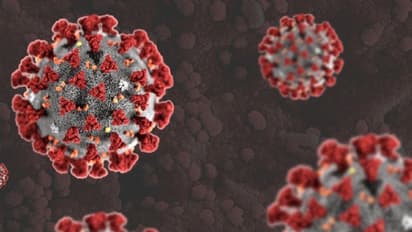 గ్రీన్ జోన్ గోవాలో కరోనా కలకలం.. ఏడుగురికి పాజిటివ్