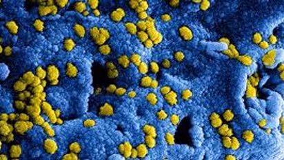 Karnataka under new COVID-19 strain scare from UK after 138 passengers land without tests