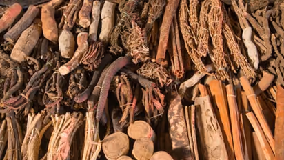 করোনা মোকাবিলায় তামিলনাড়ুর অস্ত্র 'প্রাচীন সিদ্ধা', কতটা উপকারী এই পদ্ধতি