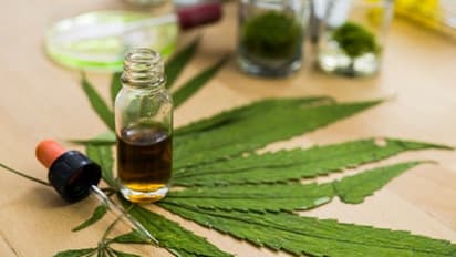 கொரோனாவை அடியோடு விரட்ட இந்தியாவுடன் கைகோர்க்கும் அமெரிக்கா... தயாராகிறது ஆயுர்வேத மருந்து..!