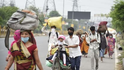 अगस्त से 23 राज्यों में 'वन नेशन वन राशन कार्ड' होगा लागू, 67 करोड़ लोगों को होगा फायदा