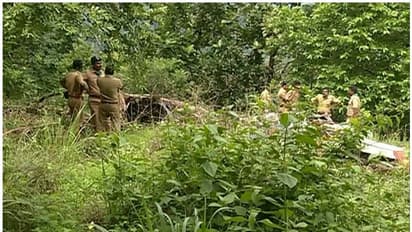 പത്തനംതിട്ട പേഴുംപാറയില് വീണ്ടും കടുവയുടെ സാന്നിധ്യം; വിറക് ശേഖരിക്കാന് പോയ വീട്ടമ്മ കണ്ടു