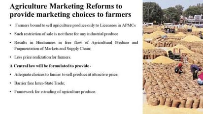 ಮೀನುಗಾರಿಕೆ, ಪಶುಸಂಗೋಪನೆಗೂ ಕೋಟಿ ಕೋಟಿ ಹಣ; ಇಲ್ಲಿದೆ ಆರ್ಥಿಕ ಪ್ಯಾಕೇಜ್ ವಿಂಗಡಣೆ ಲೆಕ್ಕ!