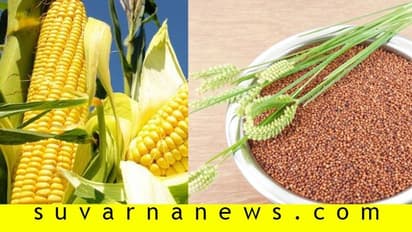 ಕರ್ನಾಟಕದ ರಾಗಿ, ಜೋಳ ಗ್ಲೋಬಲ್‌ ಬ್ರಾಂಡ್‌!