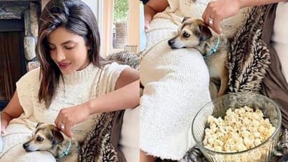 സുഖവും സ്റ്റൈലും; പ്രിയങ്കയുടെ പുതിയ ഫോട്ടോയില്‍ ആകൃഷ്ടരായി ഫാഷന്‍ പ്രേമികള്‍...