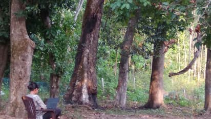 ವರ್ಕ್ ಫ್ರಂ ಹೋಂ ಹೋಯ್ತು, ಮಲೆನಾಡಲ್ಲೀಗ ವರ್ಕ್ ಫ್ರಂ ತೋಟ, ಗುಡ್ಡ !