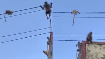 সন্তানকে বাঁচানোর তাগিদ, মায়ের মমতায় ভাসলো সোশ্যাল মিডিয়া