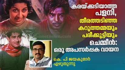 പളനിക്കെന്താണ് സംഭവിച്ചത്;  ചെമ്മീന്‍: ഒരു അപസര്‍പ്പക വായന