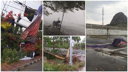 கொட்டி தீர்த்த கனமழை! முறிந்து விழுந்த மரங்கள்... அறுந்து தொங்கும் மின் கம்பிகள்! எங்கு தெரியுமா?