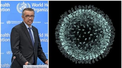 'കൊവിഡിന്‍റെ ഉറവിടം ഏത്?', ലോകാരോഗ്യ സംഘടനയോട് ഇന്ത്യയടക്കം 61 രാജ്യങ്ങളുടെ ചോദ്യം