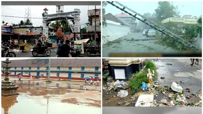 കനത്ത മഴ, വൈക്കത്ത് വ്യാപക നാശം; മഹാദേവ ക്ഷേത്രത്തിന്റെ അലങ്കാര ഗോപുരത്തിന് കേടുപാട്