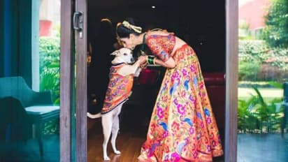 ഈ കല്യാണപ്പെണ്ണിനെ ഓര്‍മ്മയുണ്ടോ ? ഇതാണ് അവളുടെ കഥ !