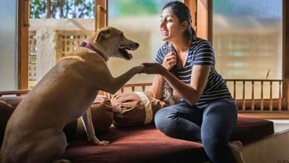 'എന്റെ ജീവിതം മാറ്റിമറിച്ചത് ഒരു തെരുവുപട്ടിയാണ്'; ഇത് മിതാലിയുടെ കഥ...