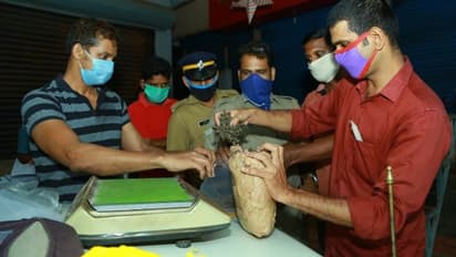 കഞ്ചാവ് വില്പന; ഇടനിലക്കാരൻ പൊലീസ് പിടിയിൽ