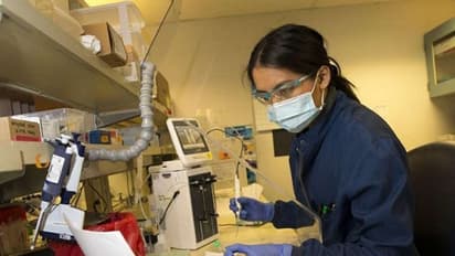 ওমিক্রনের বিরুদ্ধে কতটা কার্যকর মডার্নার কোভিড টিকা, জানুন টিকা ঠিক কতদিন কাজ করে