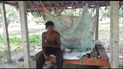 করোনা আতঙ্কে ঠাঁই নেই গ্রামে, আমবাগানে একাকী দিনযাপন যুবকের