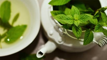 പുതിനയില, വളരുന്തോറും പറിച്ചെടുത്താല്‍ കൂടുതല്‍ വിളവ്