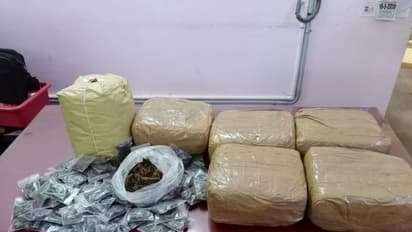 கன்னியாகுமரியில் கஞ்சாவுக்கும் போதை ஊசிக்கும் சீரழியும் இளைஞர்கள்.! சுற்றி வளைத்து பிடித்த போலீஸ்.!