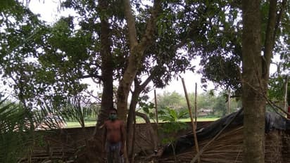 পরিযায়ী শ্রমিকের ঠাঁই নেই বাড়িতে, একাকী দিন কাটছে জঙ্গলে