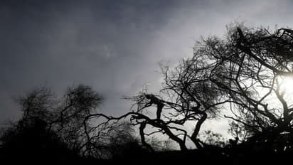 ఆంఫన్ ఎఫెక్ట్: కాకినాడ-ఉప్పాడ బీచ్ రోడ్డు ధ్వంసం, 8 ఇళ్లు ధ్వంసం