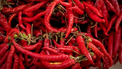 മുളക് ആരോഗ്യത്തിന് നല്ലതോ? പുതിയ പഠനം പറയുന്നത്