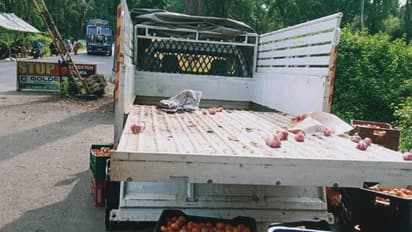 മുത്തങ്ങ വഴി പച്ചക്കറി ലോഡുമായെത്തിയ വാഹനത്തിൽ രഹസ്യ അറ; കസ്റ്റഡിയിൽ എടുത്ത് അധികൃതർ