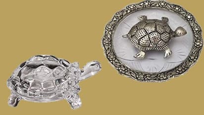 ಫೆಂಗ್ ಶುಯ್ ಆಮೆಗಳ ಜಗತ್ತು; ಯಾವುದಿಟ್ಟರೆ ಬರುತ್ತೆ ಆರೋಗ್ಯ, ಸಂಪತ್ತು?