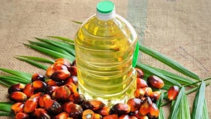 മലേഷ്യയിൽ ഭരണം മാറി, ഇന്ത്യ പാമോയിൽ ഇറക്കുമതി പുനരാരംഭിച്ചു