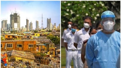 കേരളത്തെ ഒരു 'രാജ്യ'മായി ചേർത്ത് സുസ്ഥിര വികസന സൂചിക, 'കേരള മോഡലി'ന് വീണ്ടും അന്താരാഷ്ട്ര അംഗീകാരമോ?