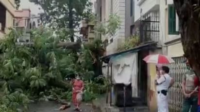 তুমুল ঝড়-বৃষ্টির জেরে ভেঙে পড়ল কলকাতার একটি বাড়ির কার্নিশ, নিউ আলিপুরে পড়ল গাছও