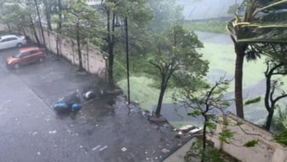 மேற்கு வங்கத்தை சூறையாடிய ஆம்பன் புயல்: முறிந்து விழுந்த மரங்கள்... அப்பளமாய் நொறுங்கிய பேருந்துகள்! போட்டோஸ்!