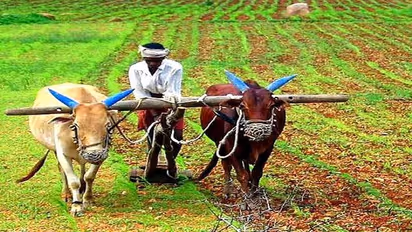 പ്രധാനമന്ത്രി കിസാൻ യോജന 14-ാം ഗഡു; കർഷകരുടെ അക്കൗണ്ടിലേക്ക് പണമെത്തുന്ന തീയതി ഇത്  