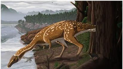 പല്ലുകളില്ലാത്ത ദിനോസറിന്റെ ഫോസില്‍ കണ്ടെത്തി; സസ്യഭുക്കായിരുന്നിരിക്കാമെന്ന് വിദഗ്ദ്ധര്‍