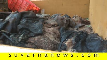 ಕಸಾಯಿಖಾನೆಗೆ ದಾಳಿ: 200 ಚರ್ಮ, 8 ಗೋವು ವಶ
