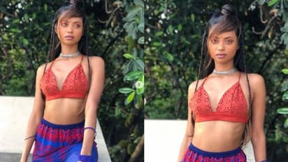 പ്ലാവിന്‍റെ അടുത്ത് നിന്ന് വീണ്ടും ഷോണിന്‍റെ ചിത്രങ്ങള്‍; ഇതുതന്നെയാണോ പണിയെന്ന് ആരാധകര്‍