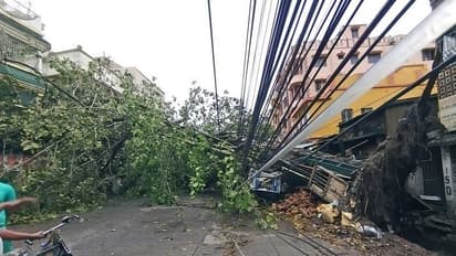 'মঙ্গলবারের মধ্যেই স্বাভাবিক হবে বিদ্য়ুৎ পরিষেবা', ক্ষমা চাইল সিইএসসি