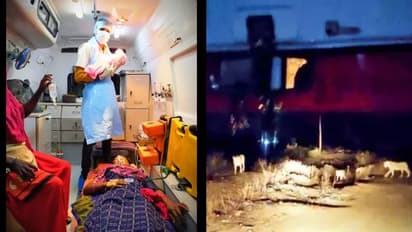 കാടിന് നടുവില് വച്ച് സിംഹക്കൂട്ടം വഴിതടഞ്ഞു ; യുവതി പെണ്കുഞ്ഞിന് ജന്മം നല്കിയത് ആംബുലന്സില്