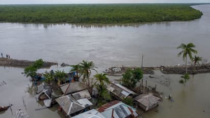 করোনার আতঙ্ক ভুলিয়ে দিয়েছে আমফান, ১২০ কোটি টাকার ক্ষতির মুখে সুন্দরবন