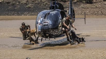 വന്യജീവികളെ സംരക്ഷിക്കാന്‍ മനുഷ്യര്‍ക്കൊപ്പം പരിശീലനം സിദ്ധിച്ച നായകളും; കാണാം ചിത്രങ്ങള്‍