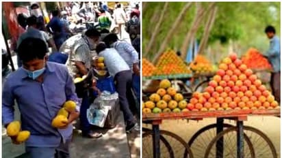 ഉന്തുവണ്ടിയില്‍ പഴങ്ങള്‍ കച്ചവടം ചെയ്യുന്നയാള്‍ വില്‍പനയ്ക്കായി കൊണ്ടുവന്ന മാങ്ങകള്‍ മോഷ്ടിച്ച് നാട്ടുകാര്‍