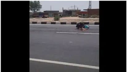 റോഡില് ചത്ത് കിടന്ന നായയെ വിശപ്പ് സഹിക്കാതെ ഭക്ഷിച്ച് കുടിയേറ്റ തൊഴിലാളി; ഹൃദയം തകര്ക്കുന്ന വീഡിയോ