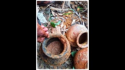 ഇടുക്കി മയിലാടുംപാറയിലെ 'നിധി' കേരള ചരിത്രം തിരുത്തുമോ ?