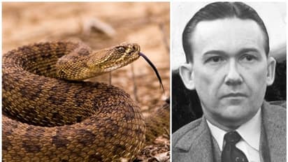 ഇൻഷുറൻസ് തുക തട്ടാൻവേണ്ടി സ്വന്തം ഭാര്യയെ ഉഗ്രവിഷമുള്ള പാമ്പിനെക്കൊണ്ട് കടിപ്പിച്ചു കൊന്ന തട്ടിപ്പുകാരന്റെ കഥ