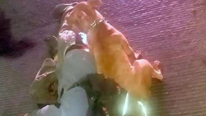 കൊല്ലപ്പെട്ട യജമാനന് കാവലിരിക്കുന്ന വളര്‍ത്തുനായ; ഹൃദയം തൊടുന്ന ചിത്രം....