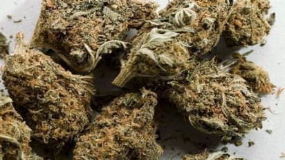 പുല്പ്പള്ളിയില് എംഡിഎംഎയും മാനന്തവാടിയില് കഞ്ചാവും പിടികൂടി; 64 കാരൻ ഉൾപ്പെടെ മൂന്നുപേര് അറസ്റ്റില്