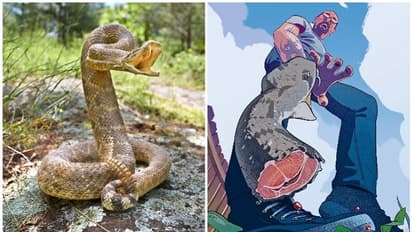 ഉടലിൽ നിന്ന് തല വേർപെട്ട് പത്തുമിനിറ്റ് കഴിഞ്ഞിട്ടും ആ പാമ്പ് അയാളെ കടിച്ചു, ഒടുക്കത്തെ കടി..!