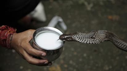 নাগ পঞ্চমী তিথি, এই দিন রাহু, কেতু ও কালসর্প সম্পর্কিত দোষ দূর করার সুবর্ণ সুযোগ